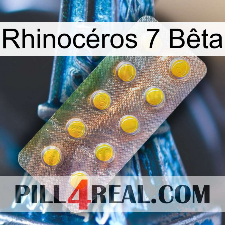 Rhinocéros 7 Bêta new11